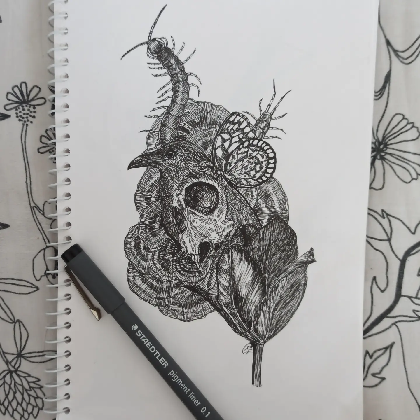 Crow Skull & Fungi sketch
