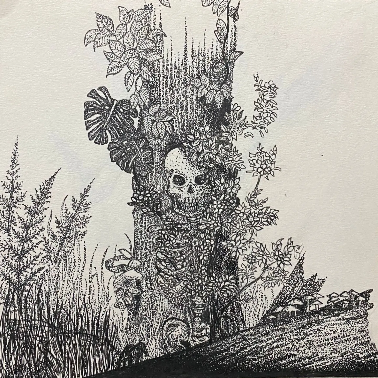 Skeleton Tree sketch