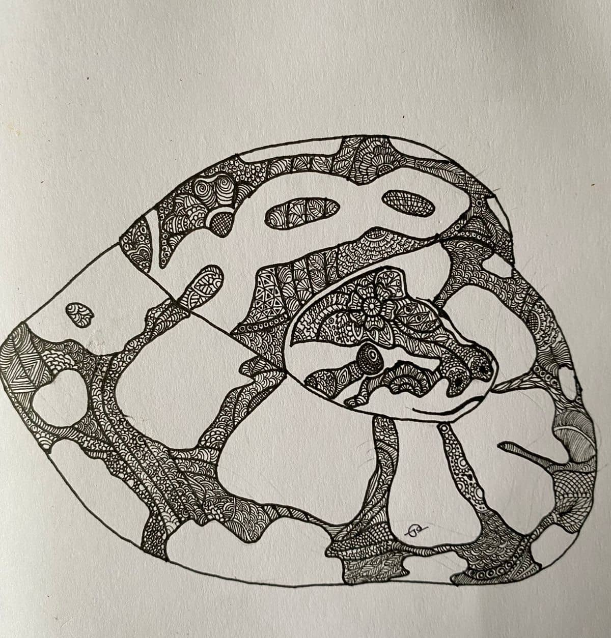 Patterned Snake sketch
